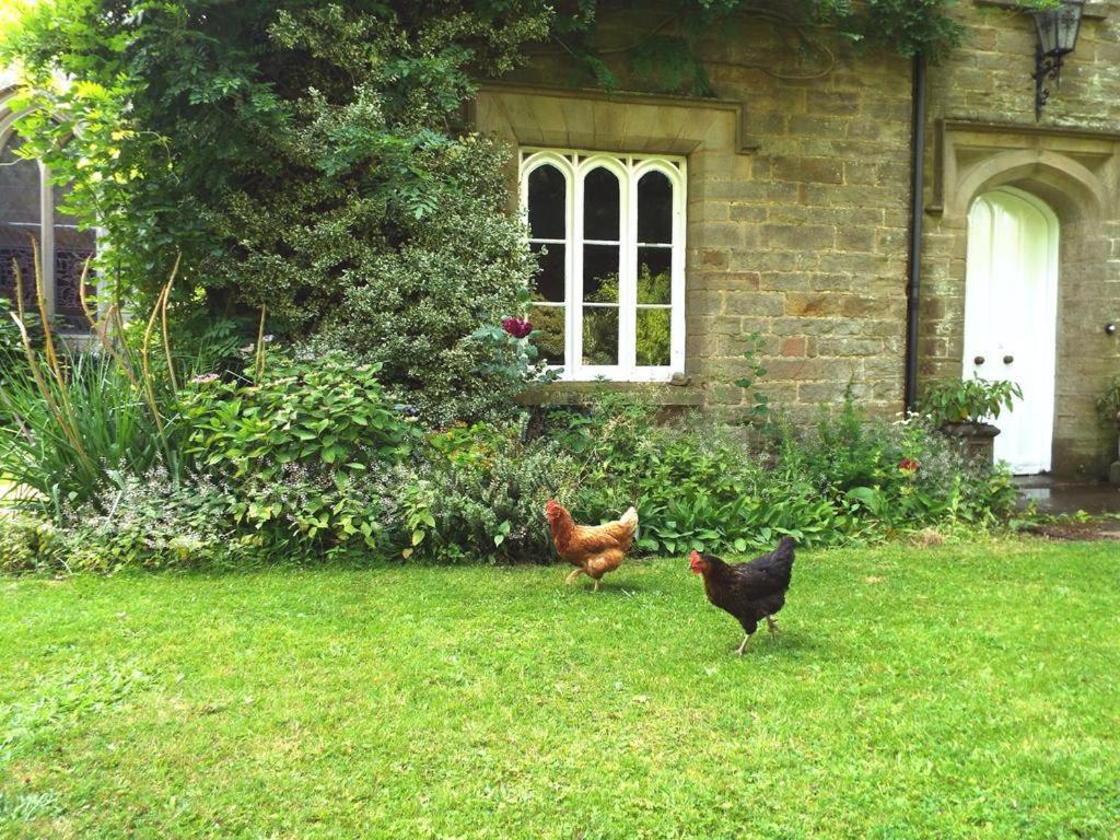 Old Vicarage B&B Coleford  Εξωτερικό φωτογραφία