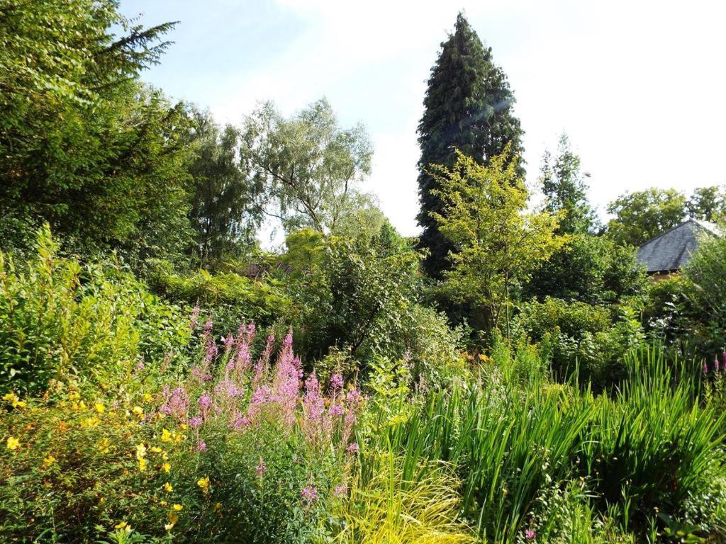 Old Vicarage B&B Coleford  Εξωτερικό φωτογραφία